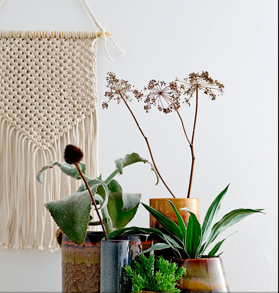 10 formas de decorar con plantas colgantes perfectas para tu hogar