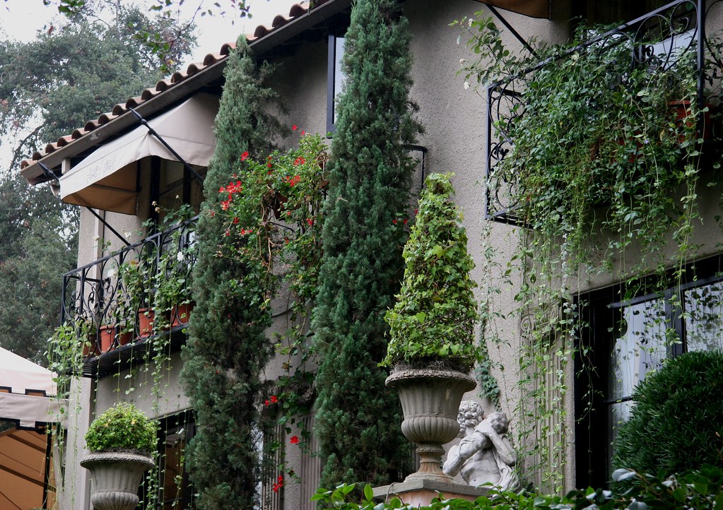 Signs and Effects of Gardening House Plants