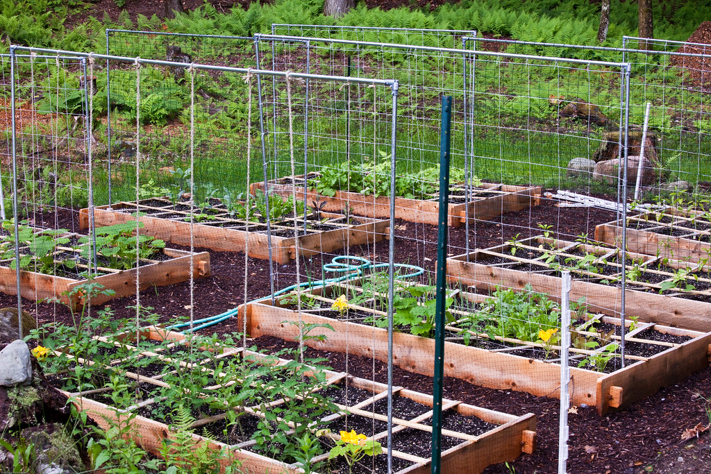 Solutions and Methods for Gardening Ideas